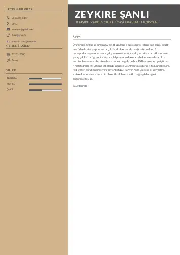 Hasta ve Yaşlı Bakım Elemanı Cv Örnekleri cv indir